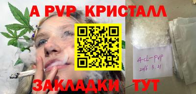 хмурый Бийск
