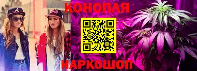 хмурый Бийск