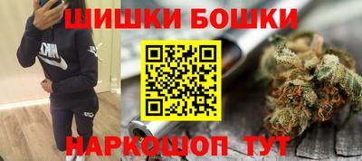 хмурый Бийск