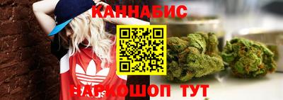 хмурый Бийск