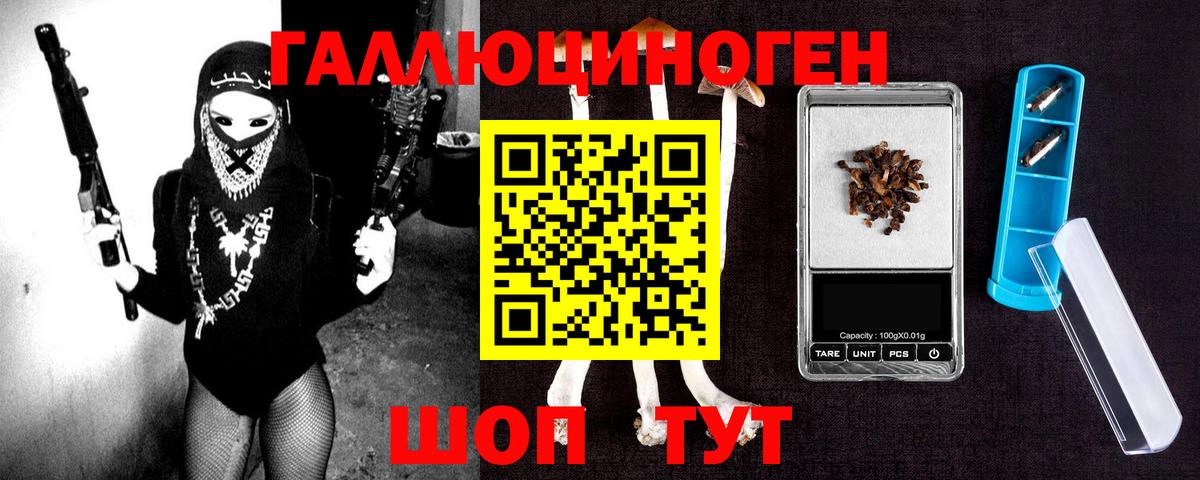 Псилоцибиновые грибы Psilocybine cubensis Берёзовский