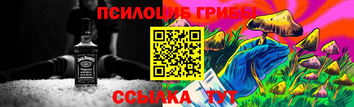 Галлюциногенные грибы ЛСД  Берёзовский  Псилоцибиновые грибы прущие грибы 