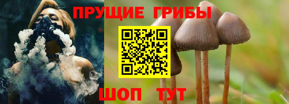 Псилоцибиновые грибы MAGIC MUSHROOMS Берёзовский