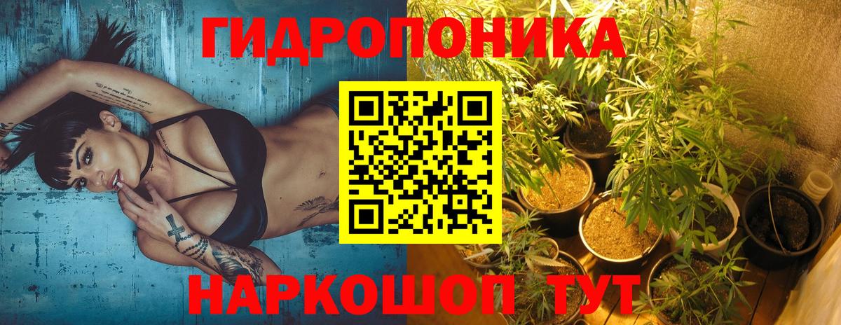 Бошки Шишки White Widow Берёзовский